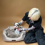 Виталина |Груминг Москва🐩 - @baileys.groom - Instagram