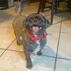 Bailey East - @grooms.by.bailey - TikTok