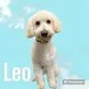 Bailey.Grooms - @bailey.groomss - TikTok