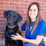 Groomer Bailey - @groomer_bailey - Instagram