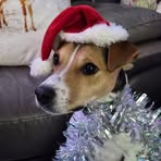 Bailey Grubb - Facebook