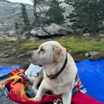 Bailey Simba Grubb - @baileyboogrubb - Instagram