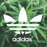 bailey - @bailey_gunna_674 - Instagram