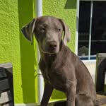 Bailey Gunn - @bailey_thesilverlab23 - Instagram