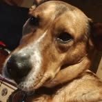 Bailey Guy - Facebook