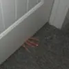 Bailey - @bailey.haas - TikTok