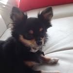 Bailey Haas - @lil_bailey_2007 - Instagram