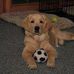 Bailey Haas - Facebook
