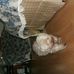 Bailey Haas - Facebook