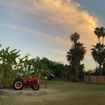 bailey - @baileyhackmann - Instagram