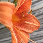 Photography Page 📷 - @bailey_____hamilton______ - Instagram