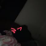 Bailey Haney - @baileyhaney46 - Instagram