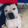 Bailey Hankins - @baileyhankins - TikTok