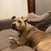 Bailey Harman-Waldron - Facebook