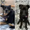 Bailey & Harper - @bailey.harper534 - TikTok