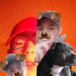 Bailey Harrington - @baileyharrington3842 - Instagram