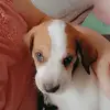 Bailey Harrington - @bailey.harrington4 - TikTok