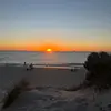Bayley Harrington - @bayley.harrington - TikTok