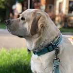Bailey Harris - @hailey_barris2.0 - Instagram