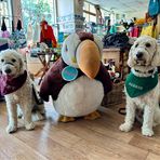 Bailey, Harris &amp; Friends - Facebook