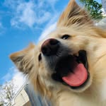 Bailey - @baileyhartmann617 - Instagram