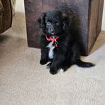 Bailey Hartman - Facebook