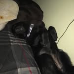 Bailey Starbuck Hartman - @baileys_insta_acccount - Instagram