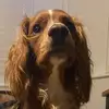 Bailey - @baileythatch - TikTok