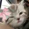 sonotbailey - @baileyhatch - TikTok