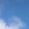 baileyhayden58 - @baileyhayden58 - TikTok