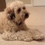 bailey_hebert_14 - @bailey_hebert_14 - Instagram