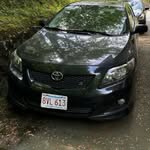 Bailey Hebert - @that_orange_turd - Instagram