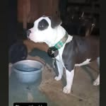 Bailey Hebert - @dey_wanna_see_b - Instagram