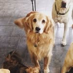 BAILEY OPPENEHIM - @bailey.oppenheim - Instagram