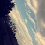 Bailey Henderson - @baileyhenderson6219 - Instagram