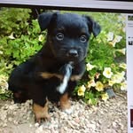 вαιℓєу нєиѕℓєу - @_baileyhensley_ - Instagram