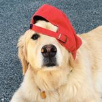 Bailey Herman - @baythedog_ - Instagram