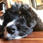 Bailey Herman - @baileyherm_the_bern - Instagram