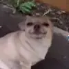 BaileyHerman - @baileyhermanexzcle - TikTok
