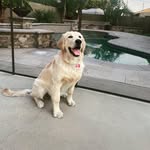Bailey Hernandez - @la.princessa.bailey_thegolden - Instagram