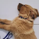 Bailey Hernandez - @bailey_is_golden_ - Instagram
