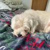 Bailey Hernandez - @baileyhernandez_ - TikTok