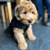Bailey - @bailey_hibbert - TikTok