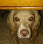 Bailey Hickman - Facebook