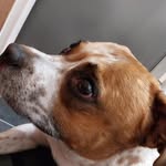 Bailey higgins - @icy2235534 - Instagram