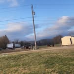 Hope Higgins - @baileyhiggins800 - Instagram