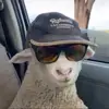 Bailey Hodges - @baileyhodges2 - TikTok