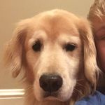 Bailey Hogan - @_bailey_hogan_ - Instagram