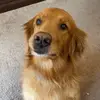 Bailey - @baileyhoke - TikTok