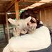 Bailey Hooper - Facebook